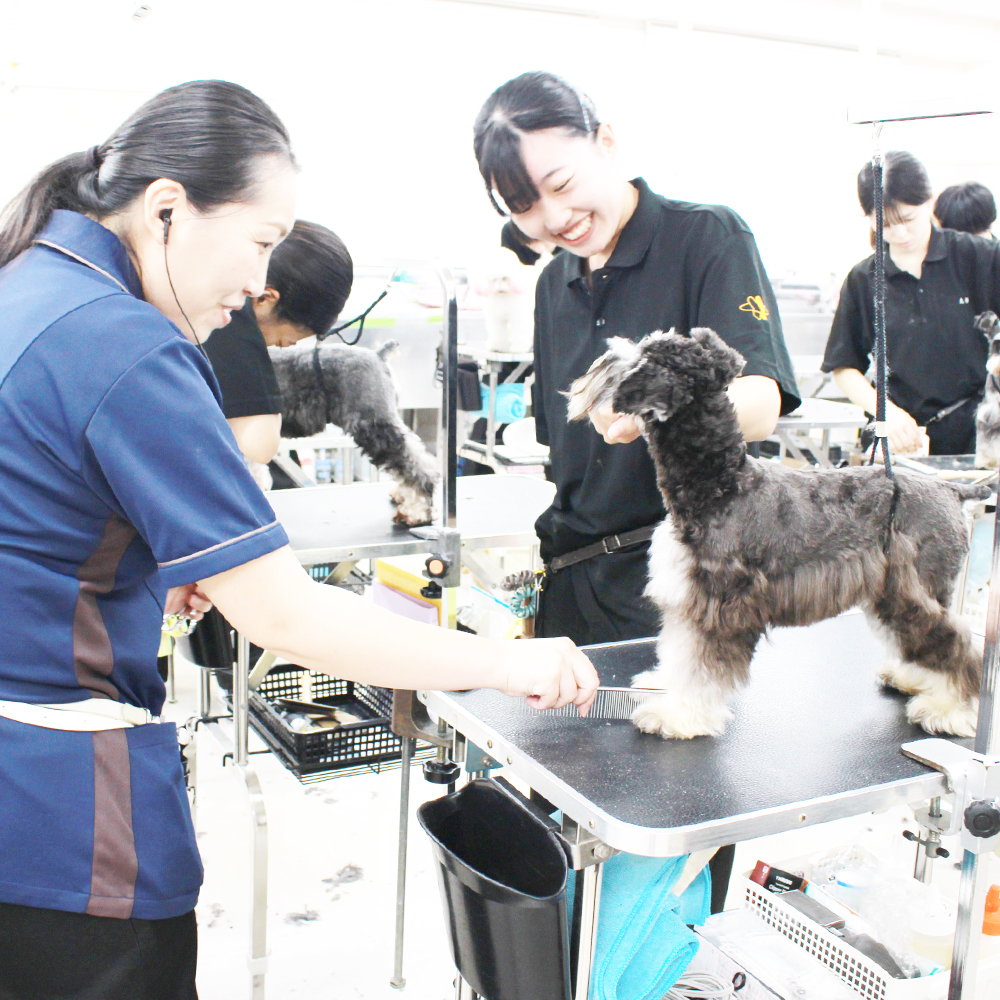 1年生のトリミング実習♪